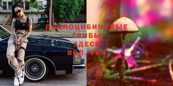 Альфа ПВП Алексеевка