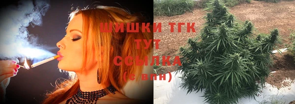 не бодяженный Новозыбков