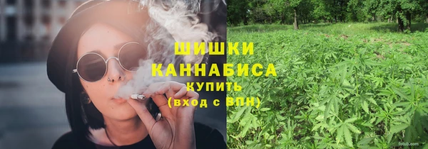 гидра Новодвинск