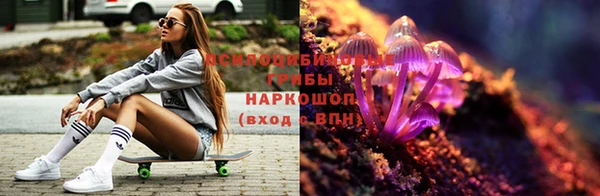 метадон Алексин