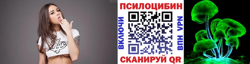 купить  сайты  Алзамай  Галлюциногенные грибы прущие грибы 